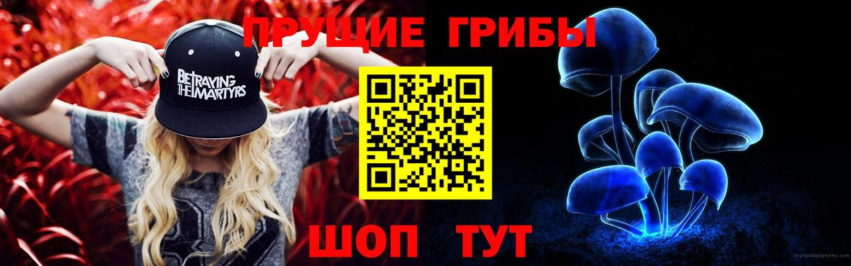Карачаевск  Псилоцибиновые грибы Psilocybe  Вход с VPN 